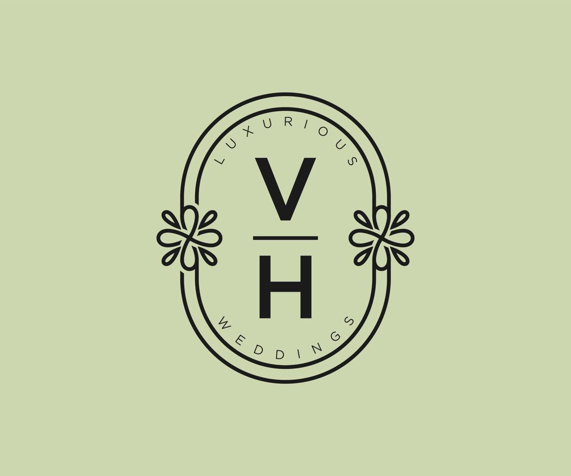 vh letras iniciais modelo de logotipos de monograma de casamento, modelos minimalistas e florais modernos desenhados à mão para cartões de convite, salve a data, identidade elegante. vetor