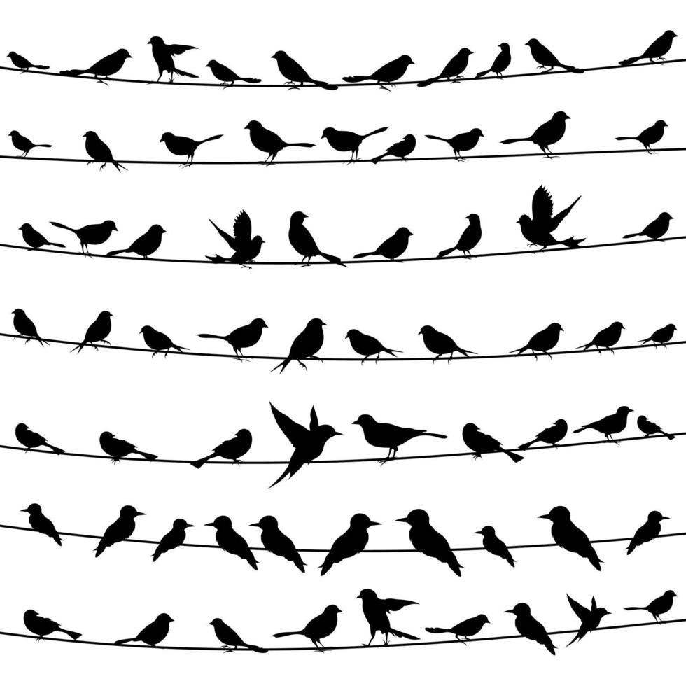 conjunto de pássaros em fios. uma ilustração vetorial vetor