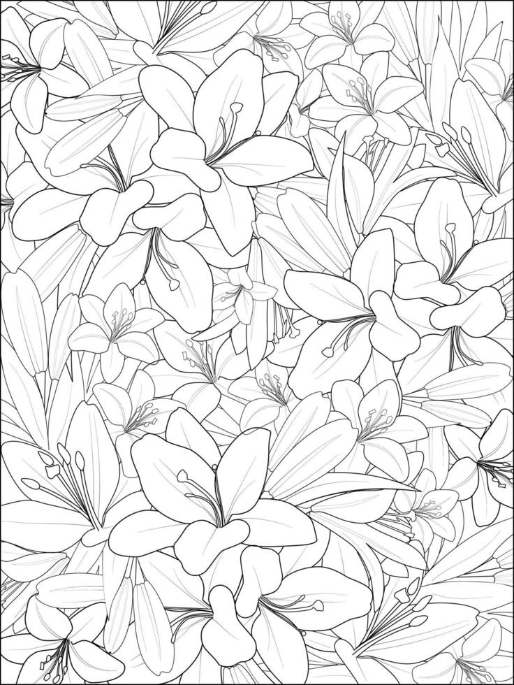 bela ilustração de padrão floral botânico para colorir livro ou página, lírios, com lilium lili flor esboço arte buquê desenhado à mão de floral isolado no fundo branco. vetor