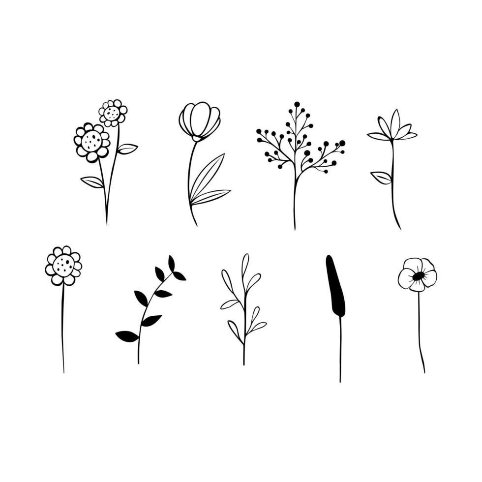 linha preta doodle flores de caule longo em fundo branco. ilustração vetorial sobre a natureza. vetor