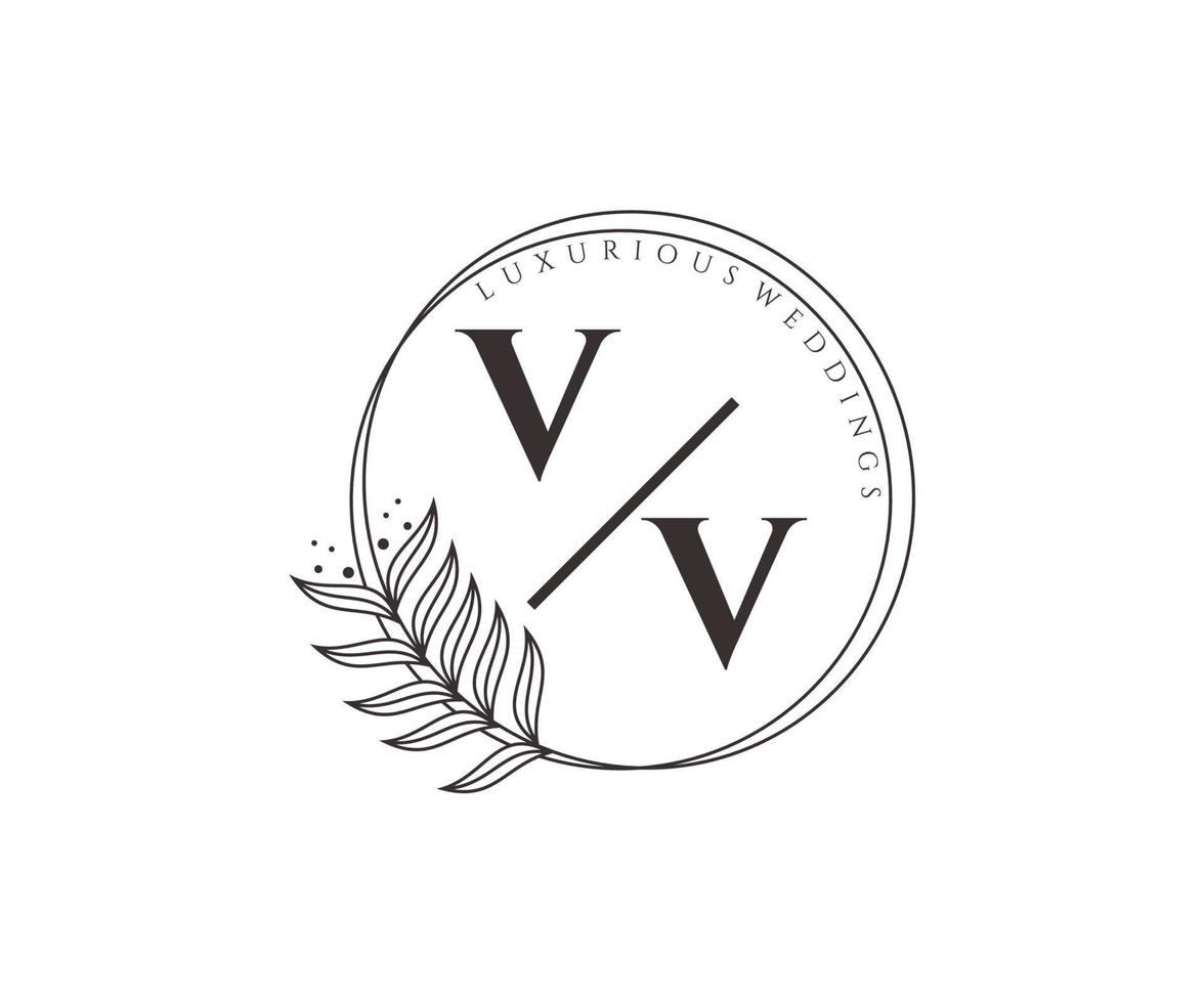 vv letras iniciais modelo de logotipos de monograma de casamento, modelos minimalistas e florais modernos desenhados à mão para cartões de convite, salve a data, identidade elegante. vetor