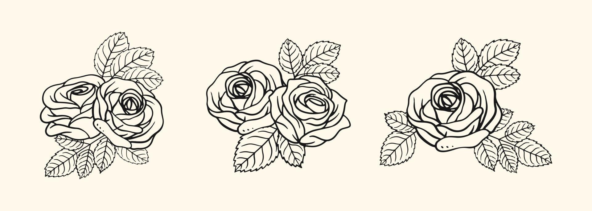 buquê de ilustração de rosas para ornamento de design vintage e romântico vetor