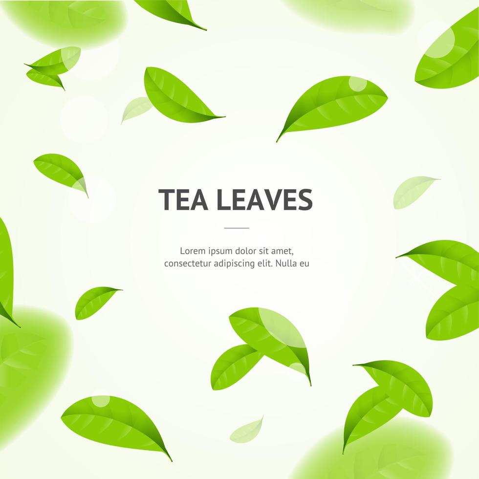 elementos detalhados 3d realistas vibrantes folhas de chá verde fundo do cartão de bandeira do conceito. vetor