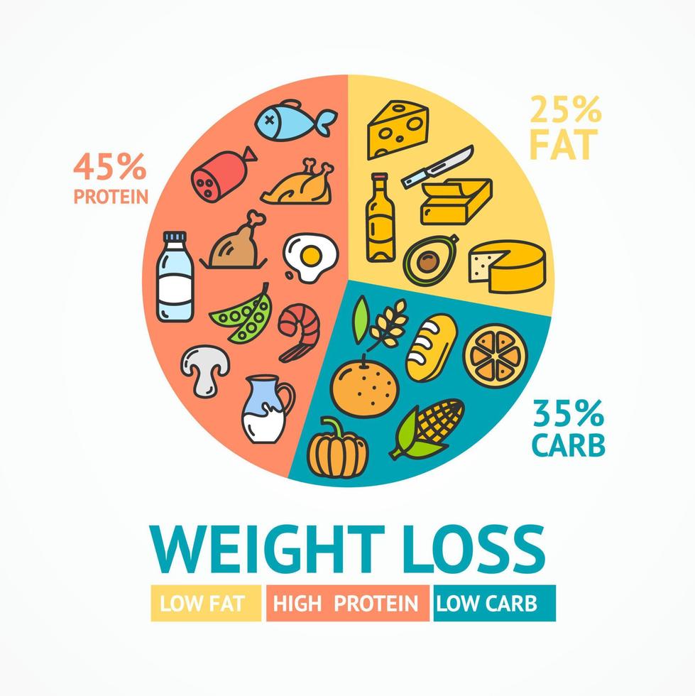 Anúncio de cartaz de cartão de conceito de dieta de perda de peso com ícones de linha fina. vetor