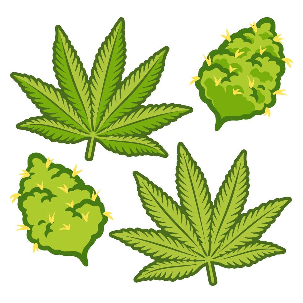 design de vetor de maconha de botões de maconha