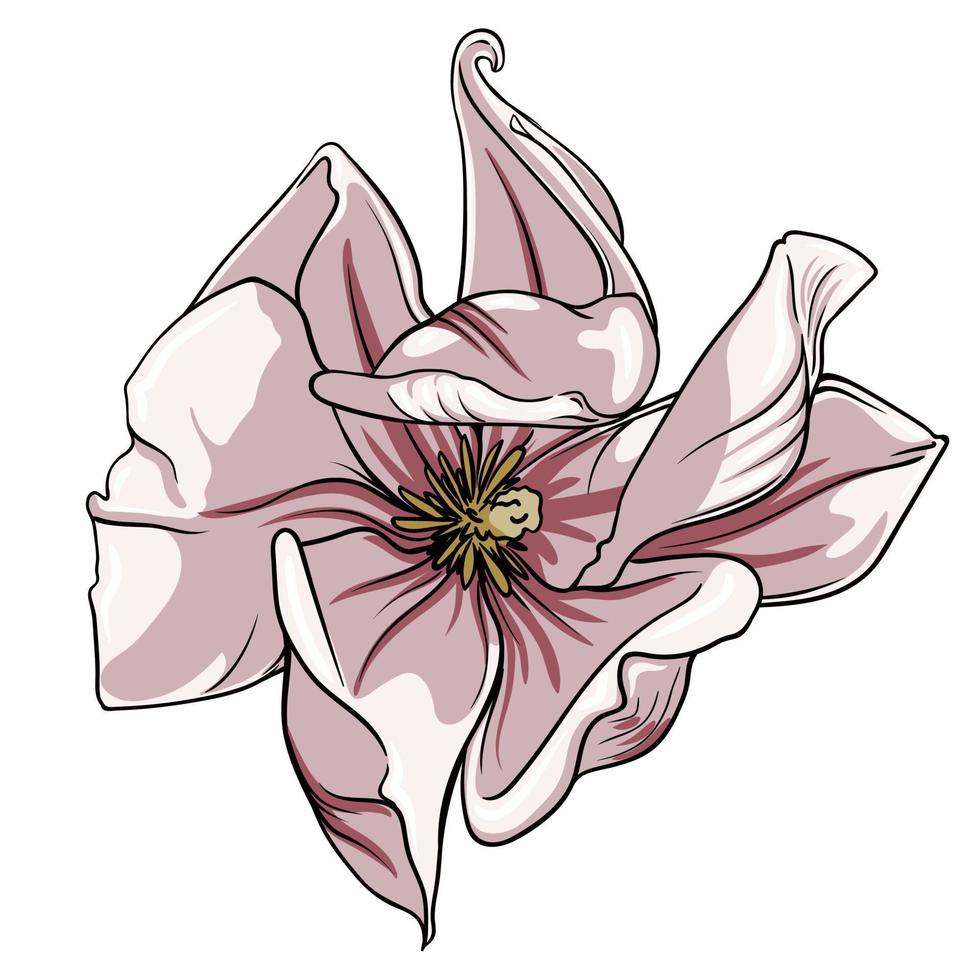 flor de magnólia em fundo branco, flor de lótus em fundo branco, ilustração vetorial vetor