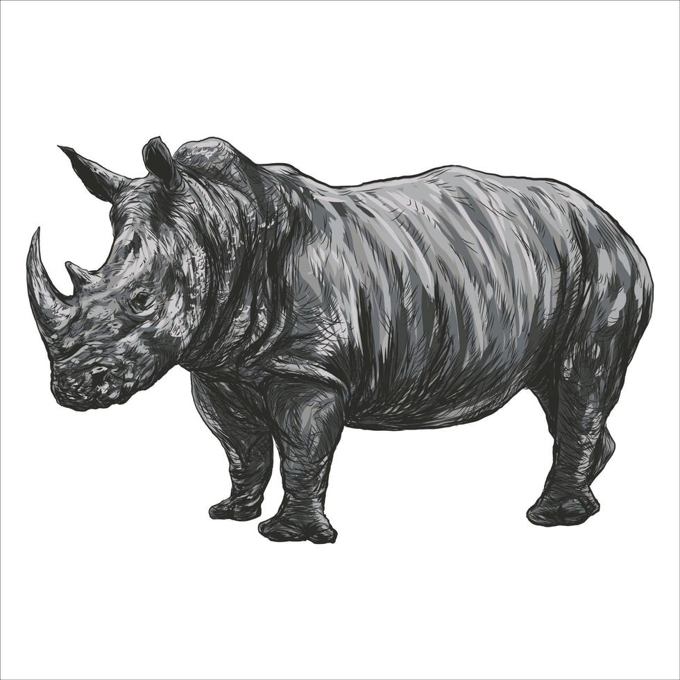uma ilustração de rinoceronte de um grande rinoceronte africano com grandes chifres e pele enrugada e é um animal selvagem em extinção. este desenho a lápis desenhado à mão é isolado no fundo branco. vetor