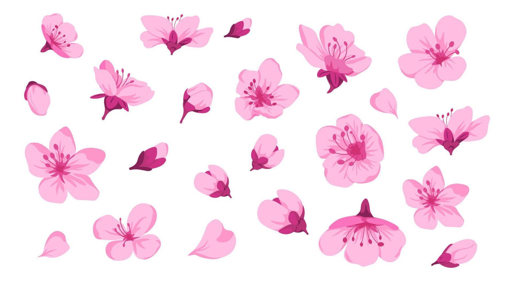 flor de cerejeira, flores e botões com pétalas vetor