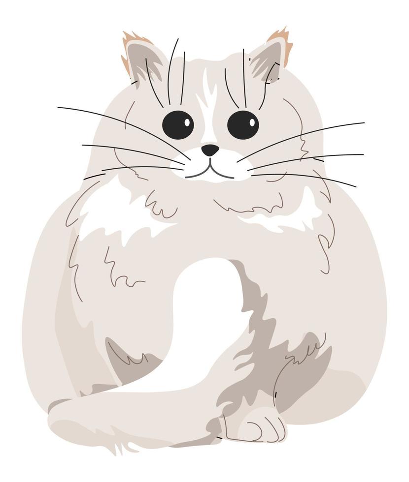 gato branco peludo, vetor de retrato de personagem gatinho