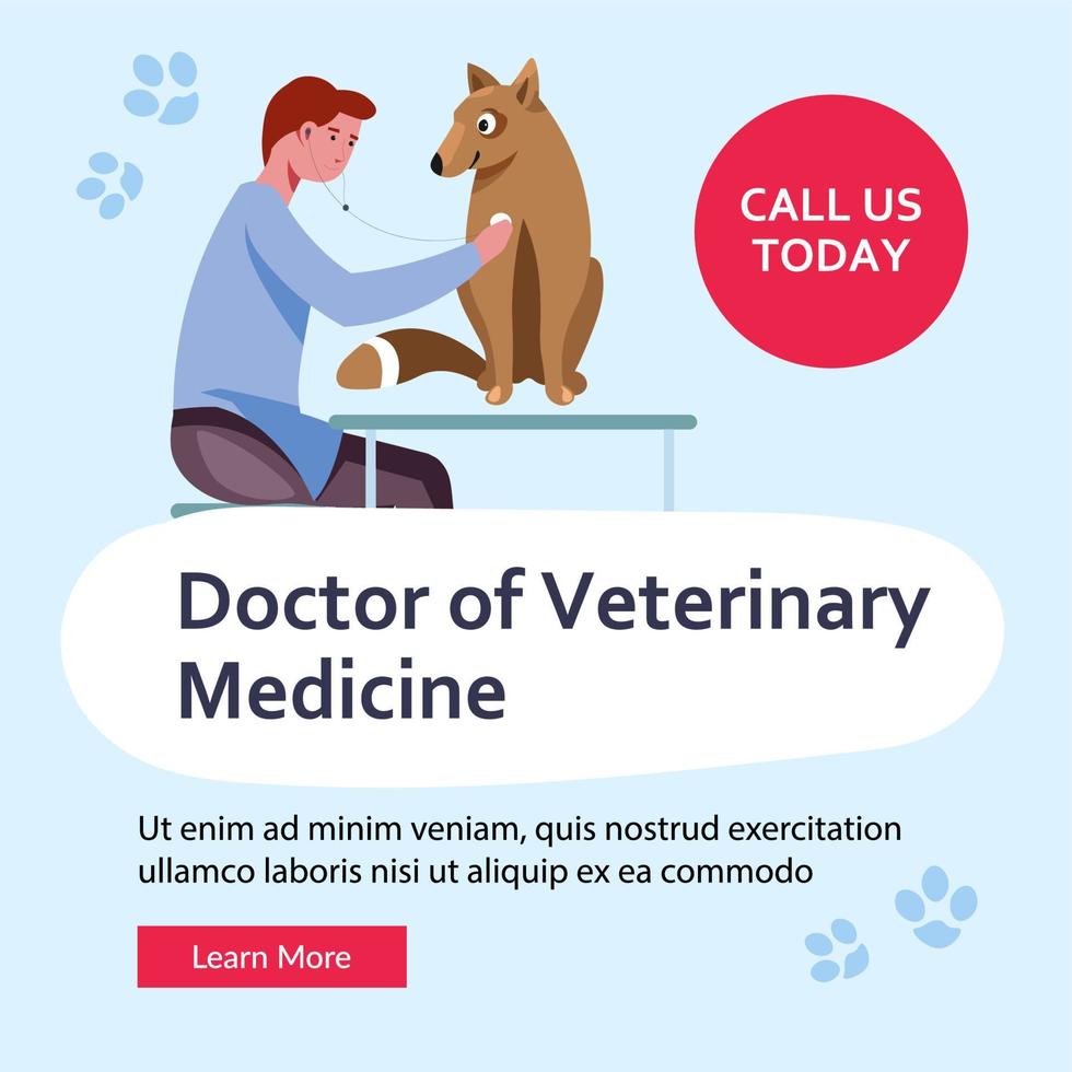 doutor em medicina veterinária ligue-nos hoje web vetor