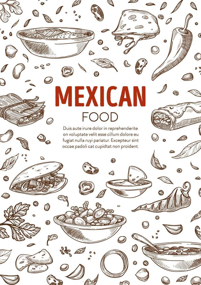 menu de comida mexicana, burrito e vetor de pratos picantes