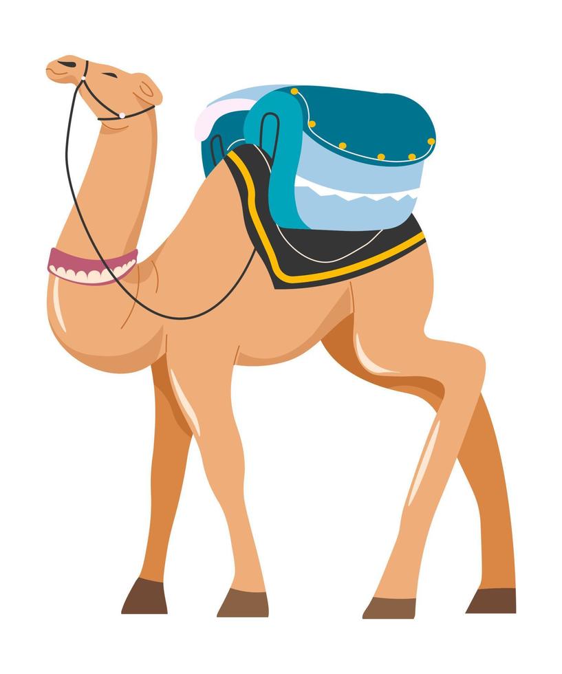 animal camelo usado como transporte em área deserta vetor