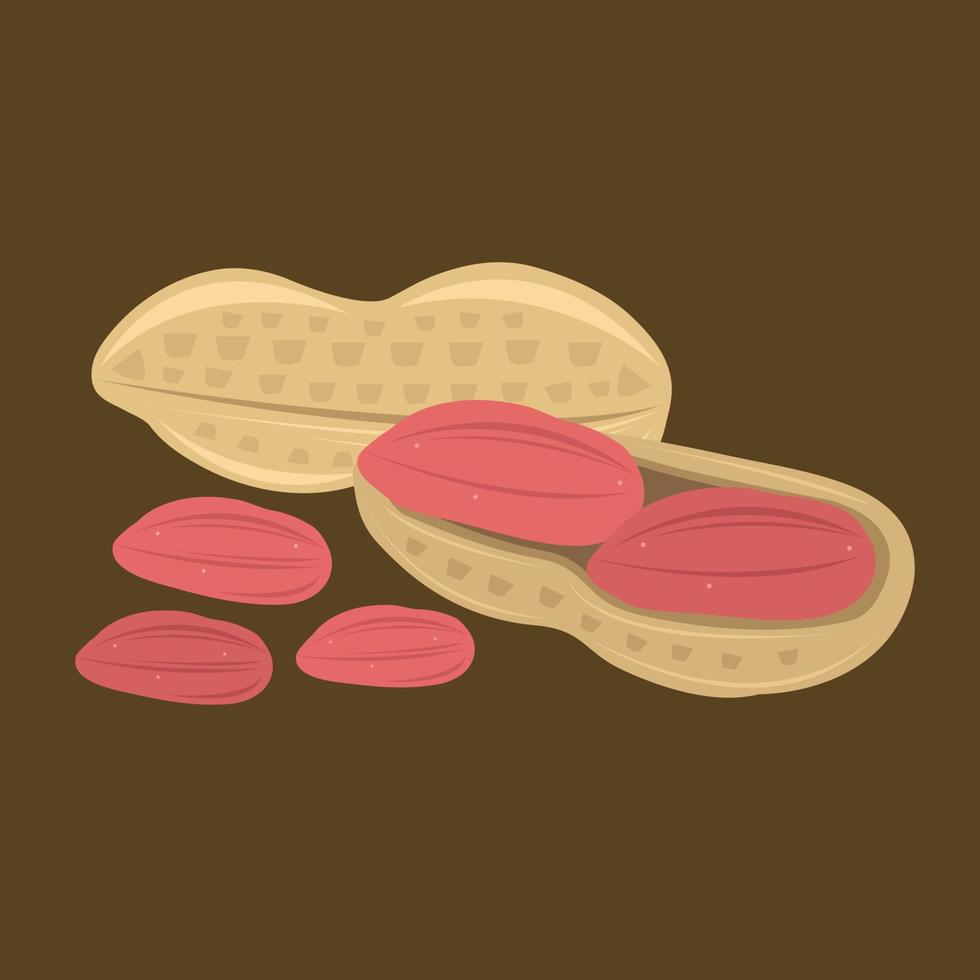 ilustração vetorial de amendoim para design gráfico e elemento decorativo vetor