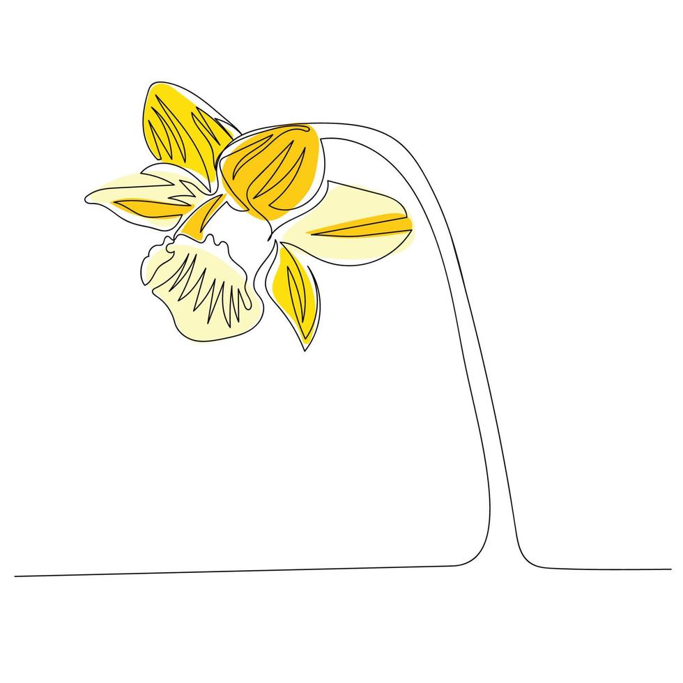 desenho de uma linha de narciso. flor de linha contínua. ilustração minimalista desenhada à mão. vetor. vetor