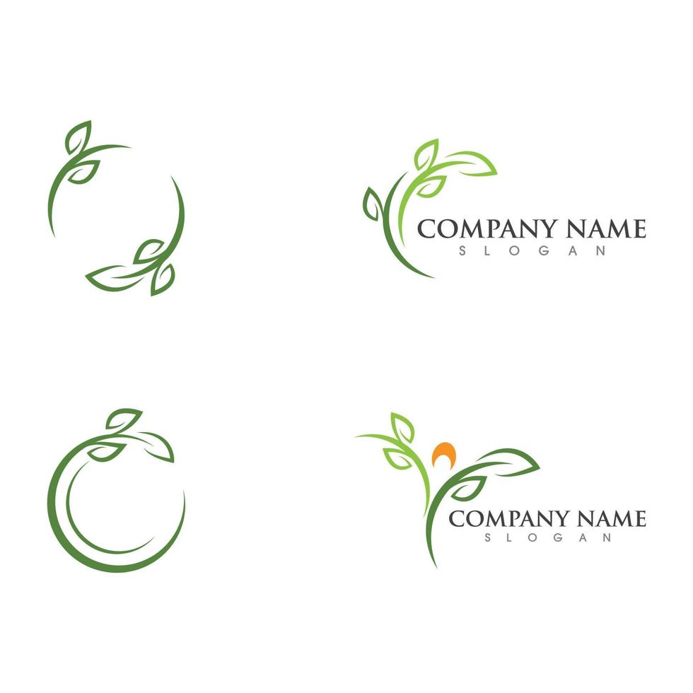 logotipos da ecologia de folhas verdes vetor