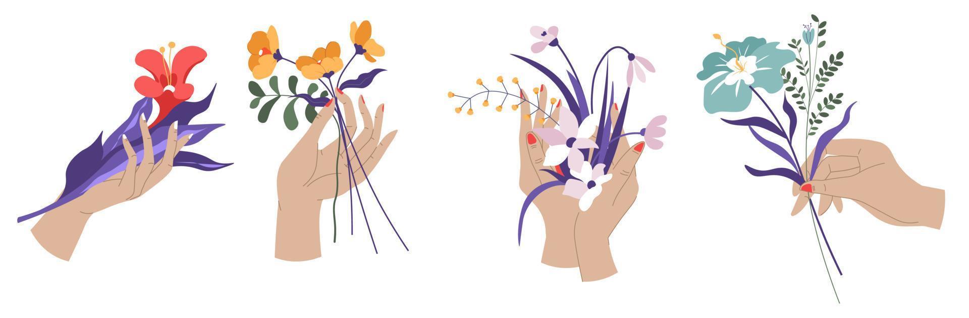 mãos femininas segurando flores e folhagem selvagem vetor