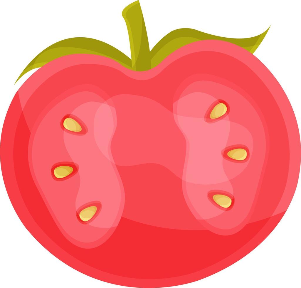 ilustração vetorial simples de tomate, ilustração de vegetais de outono, desenho à mão vetor