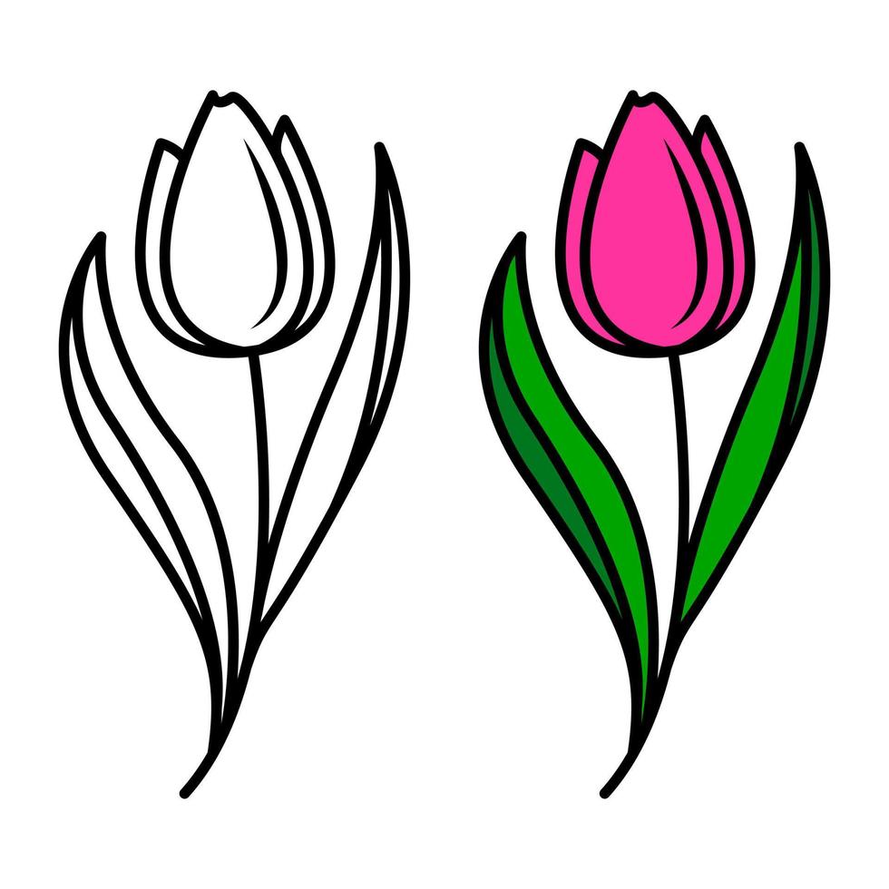 desenho vetorial de flores de tulipa, elemento floral isolado no estilo doodle. flor de tulipa colorida em um fundo branco vetor