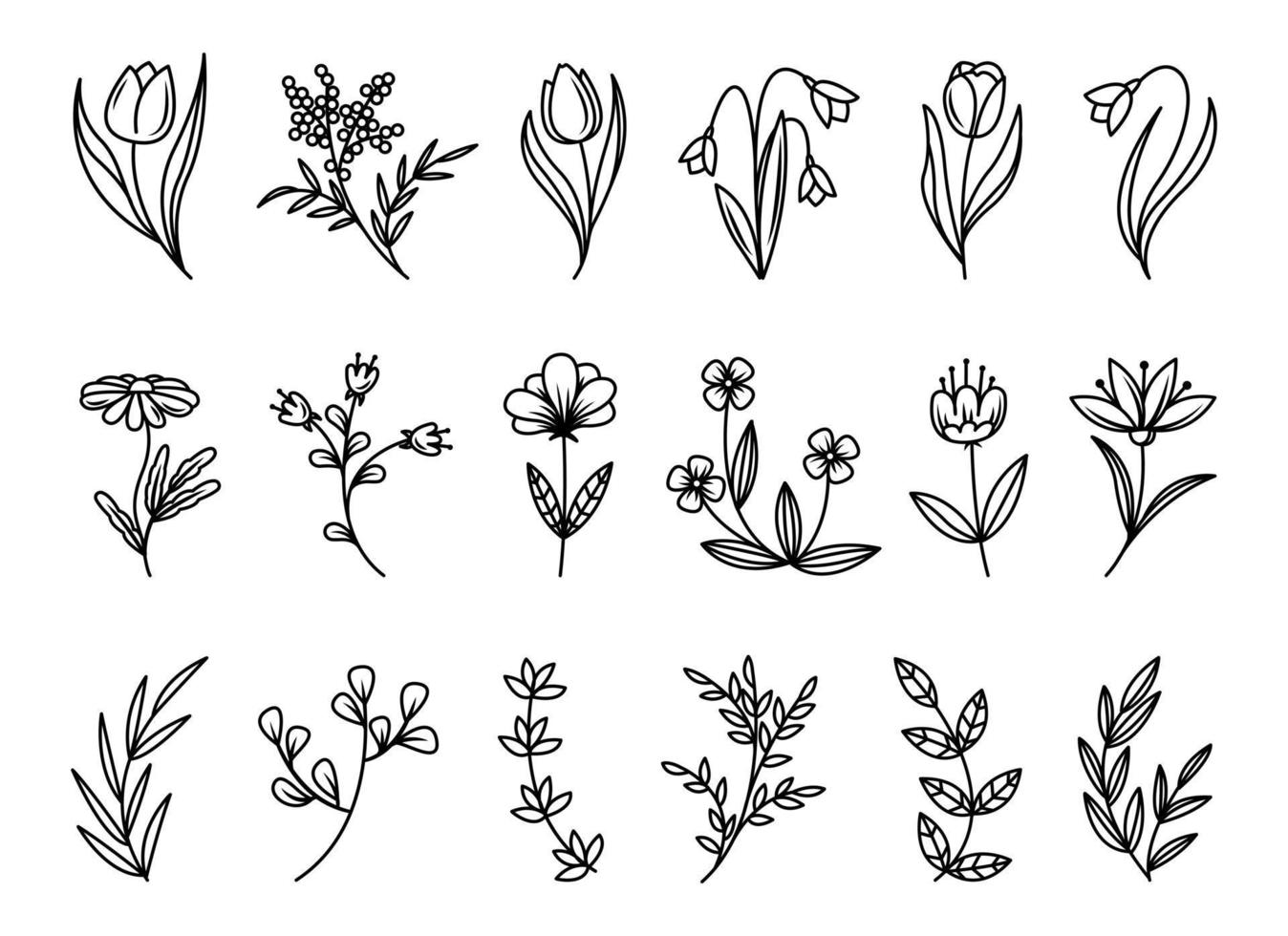 elementos florais estilo doodle, folhas e galhos feitos em vetor. para design de casamento, logotipo e cartão de felicitações. vetor