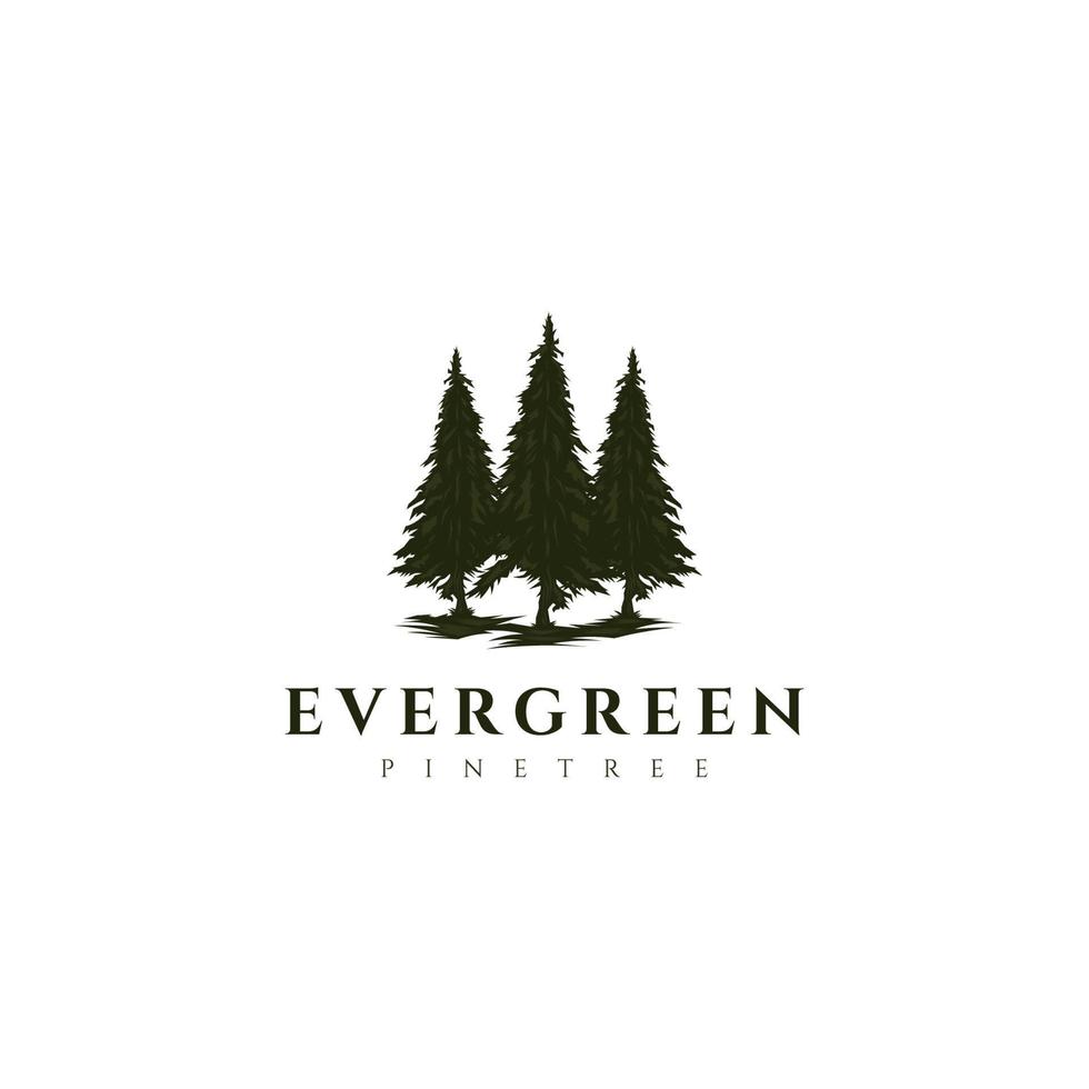 evergreen, bosque, árvores de cedro, abeto, modelo de vetor de design de logotipo de pinheiros