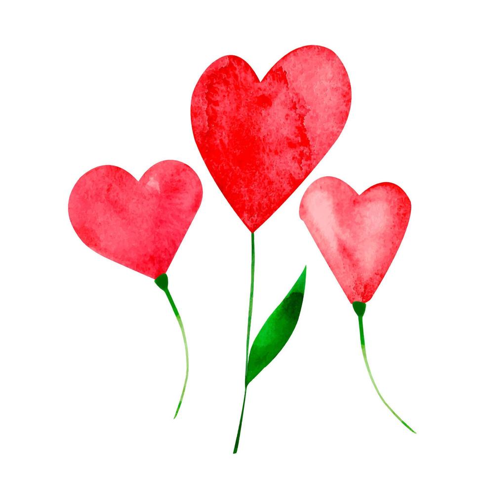 flores de amor coração vermelho pintado aquarela isolada vetor