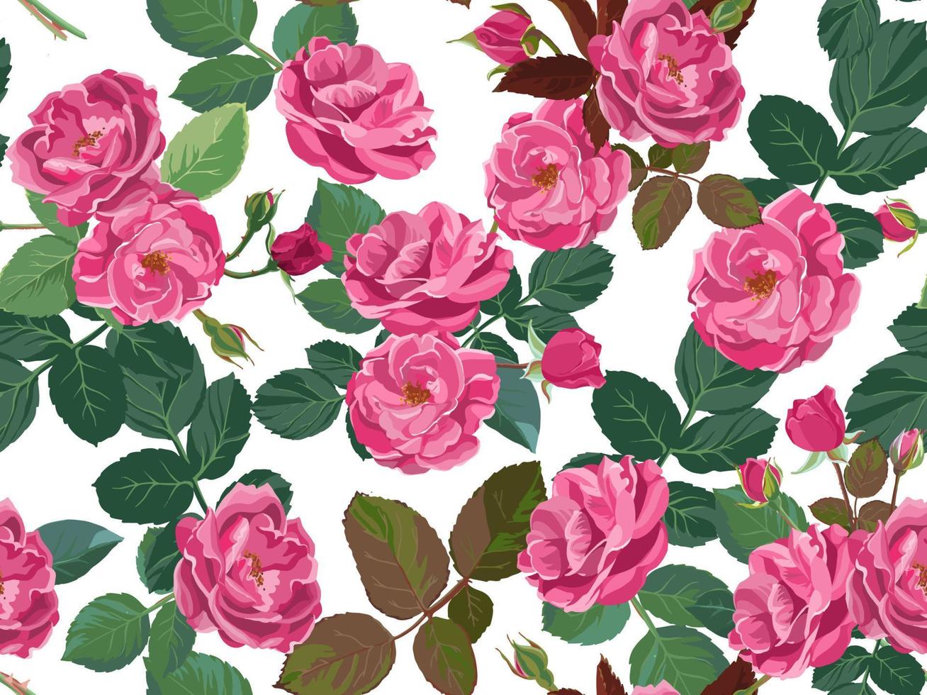 padrão floral com peônias ou rosas e folhagem vetor