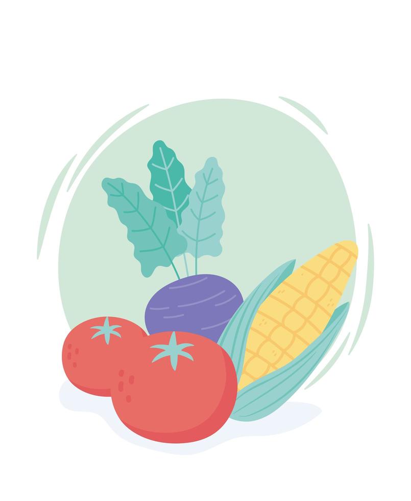 desenhos animados frescos vegetais orgânicos milho tomate e berinjela vetor