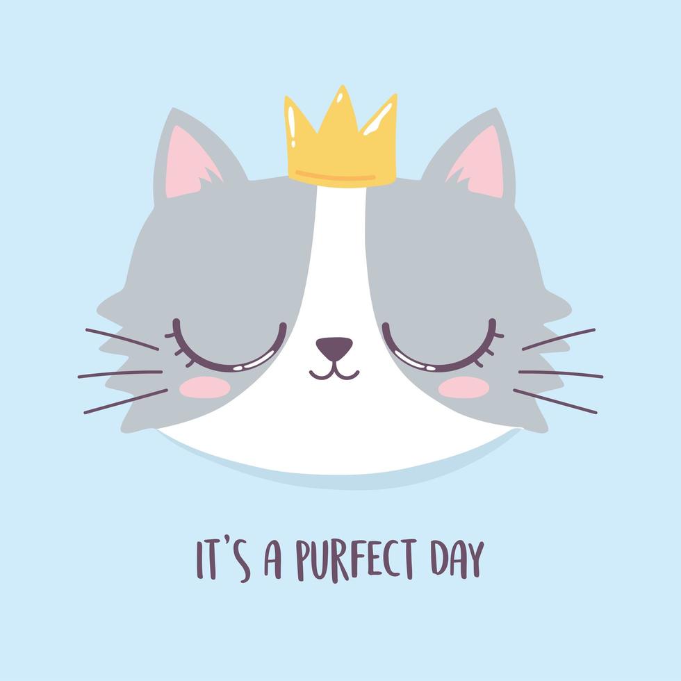 cara de gato fofo com dia perfeito de coroa, personagem engraçado de animal de desenho animado vetor