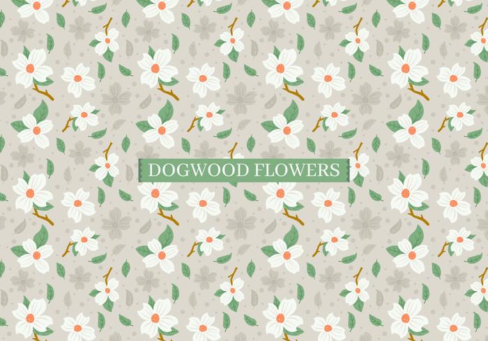 Fundo das Flores Dogwood vetor