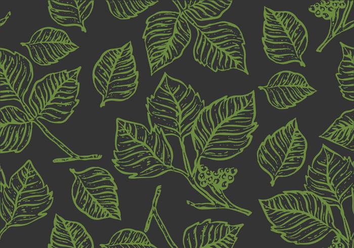 Vetor de padrão sem costura de Poison Ivy Outline Seamless Pattern