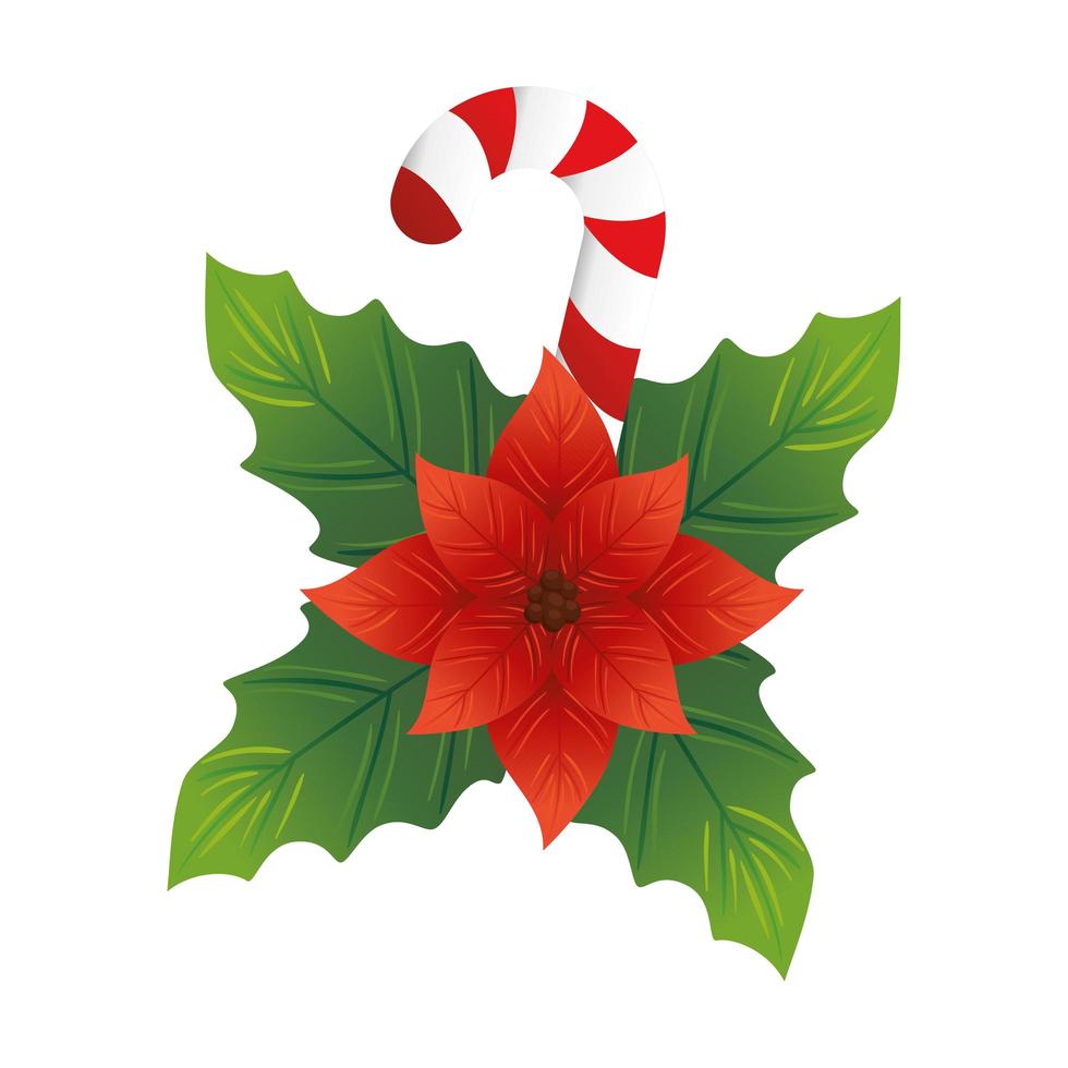 folhas decorativas de natal com flor vermelha e cana vetor