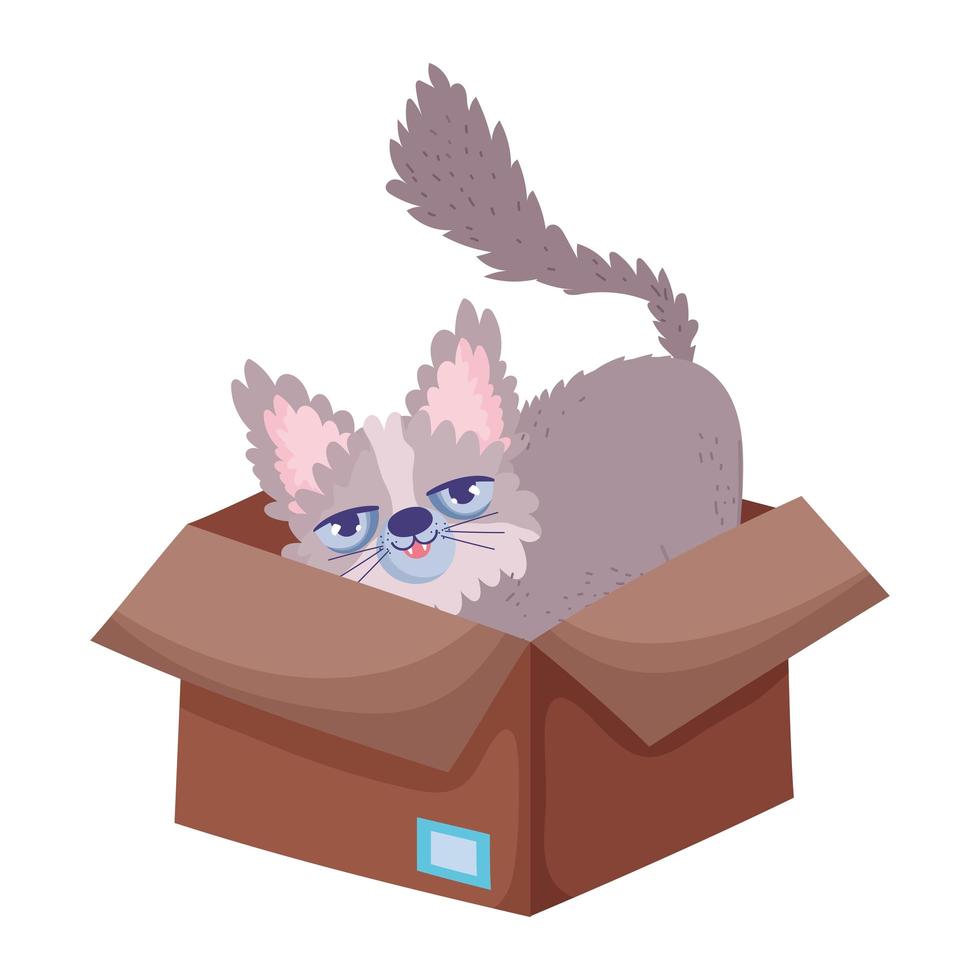 gato sentado em uma caixa de papelão animais de estimação abandonados vetor