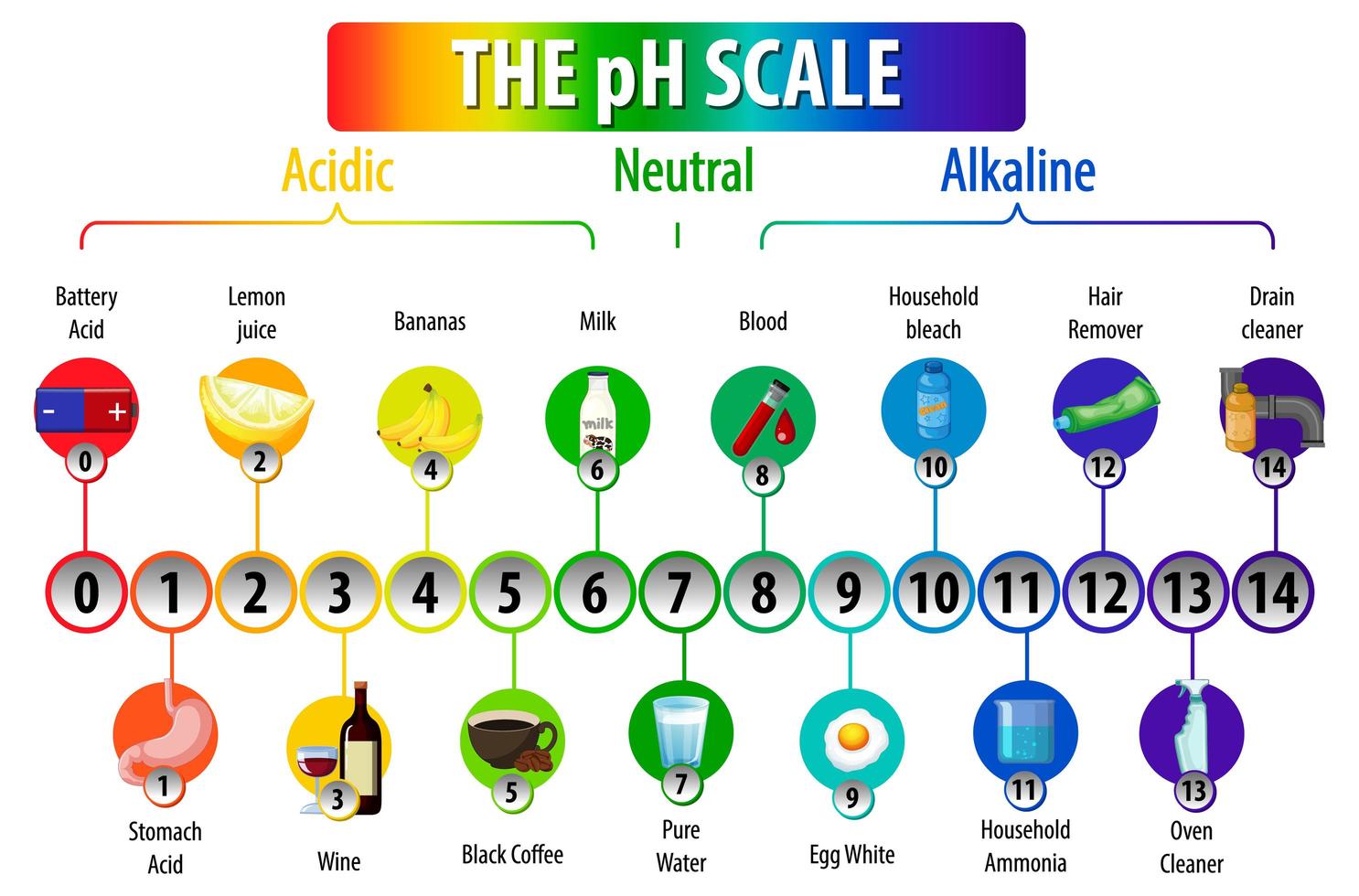 o diagrama de escala de ph em fundo branco vetor