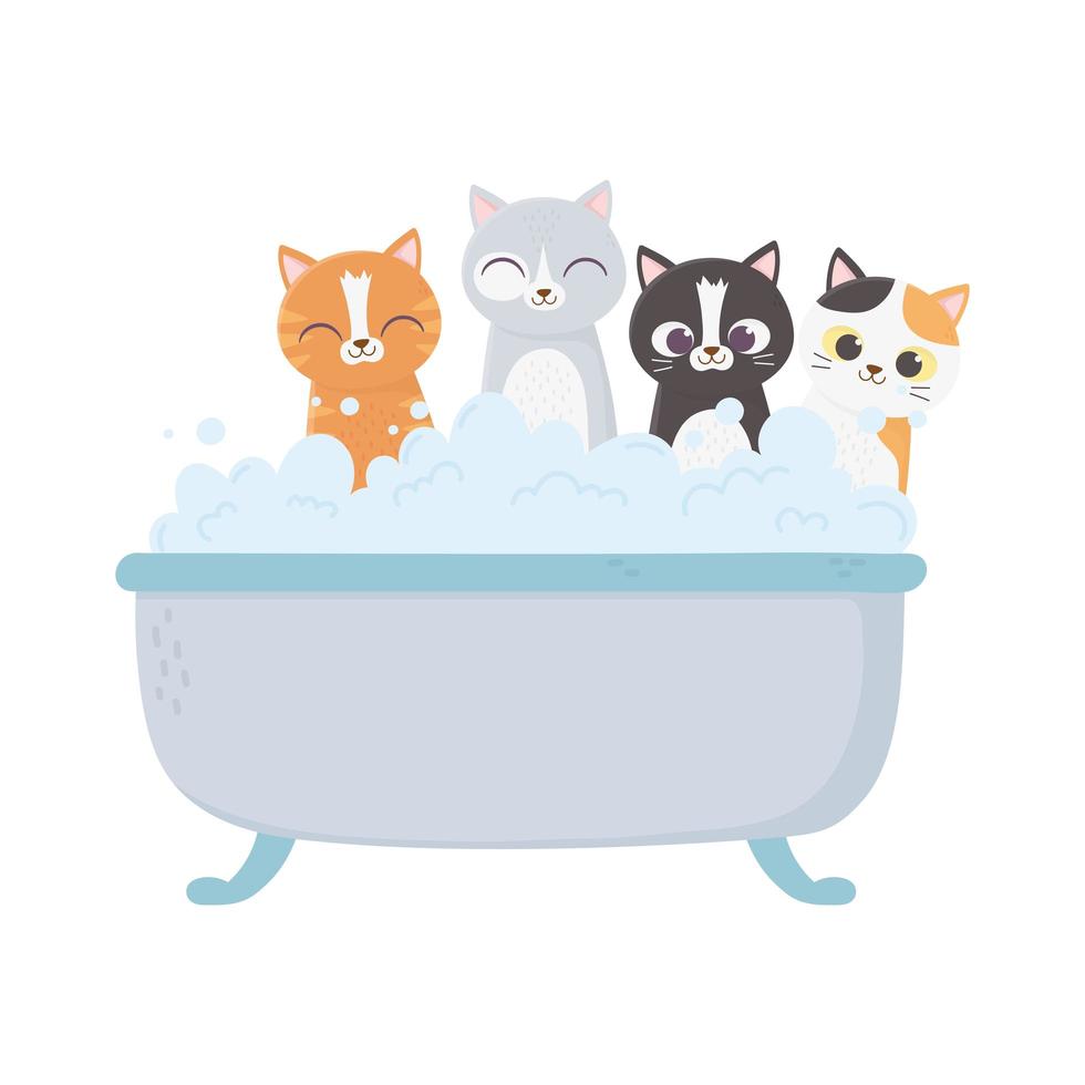 gatinhos na banheira cuidando do animal de estimação isolado no fundo branco vetor