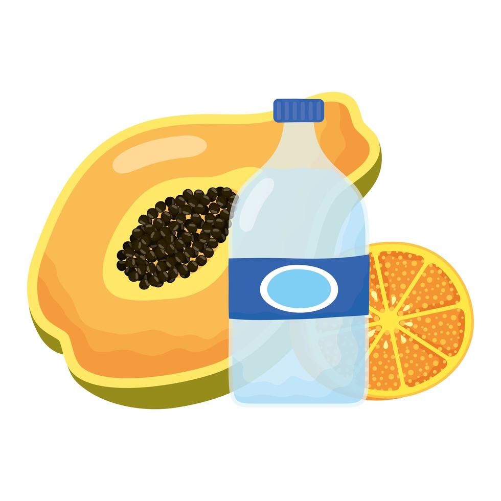 mamão tropical com laranja e garrafa de água vetor