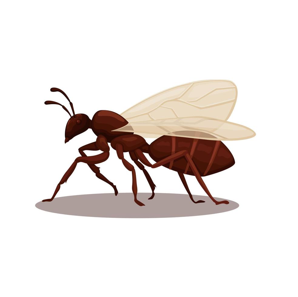vetor de ilustração de desenhos animados de espécies animais de formiga voadora