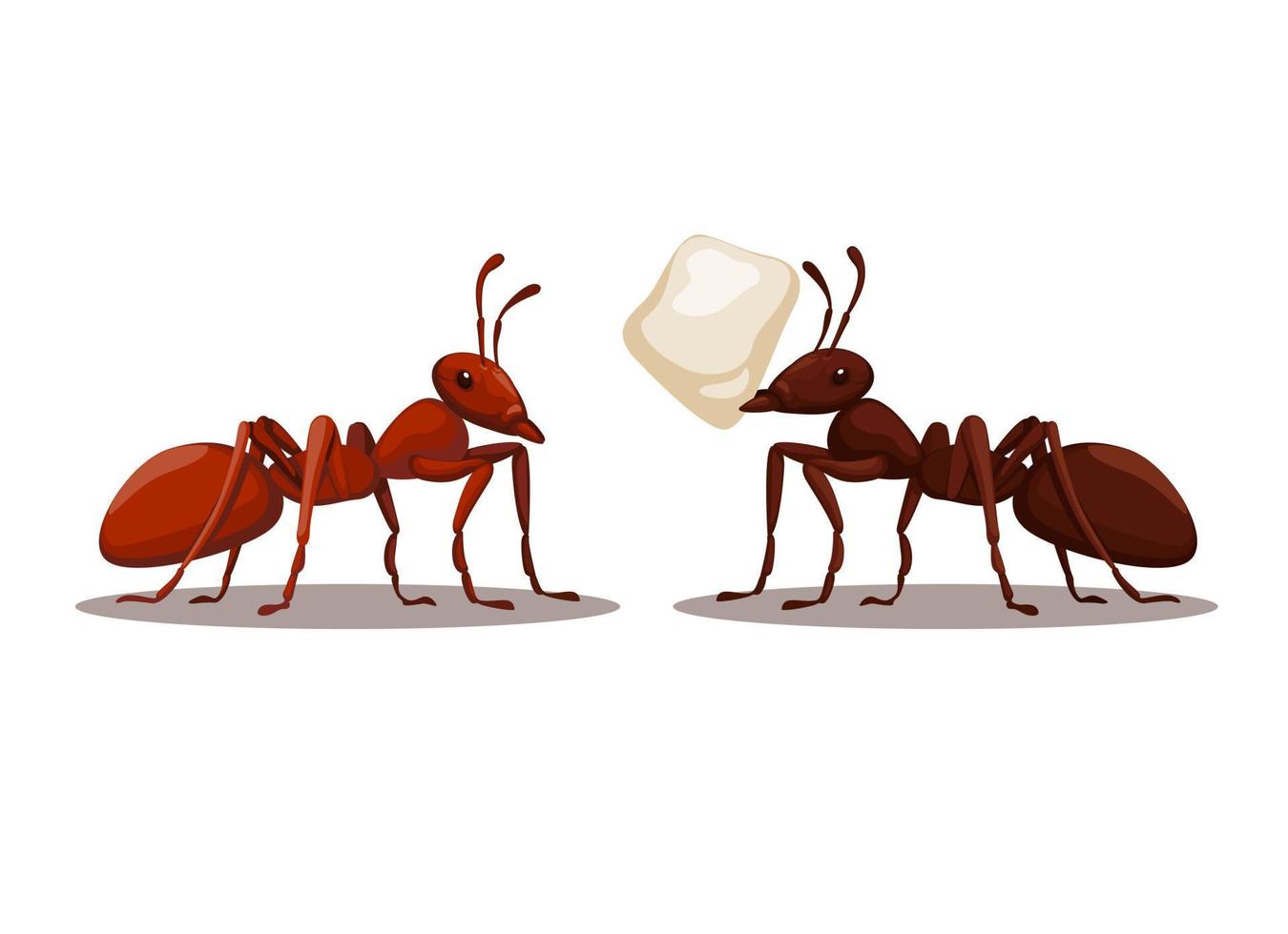 vetor de ilustração de desenho animado de personagem animal formiga preta e vermelha
