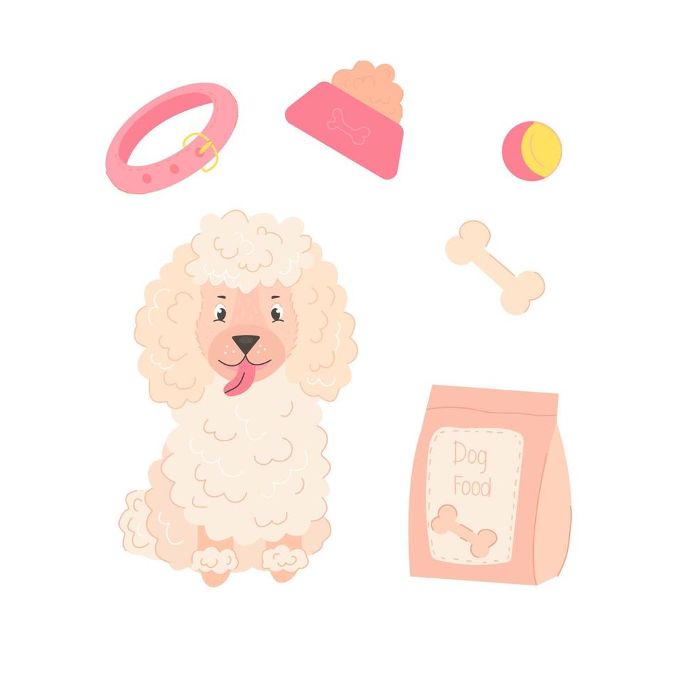 poodle branco sentado com brinquedos e comida de cachorro em fundo isolado vetor