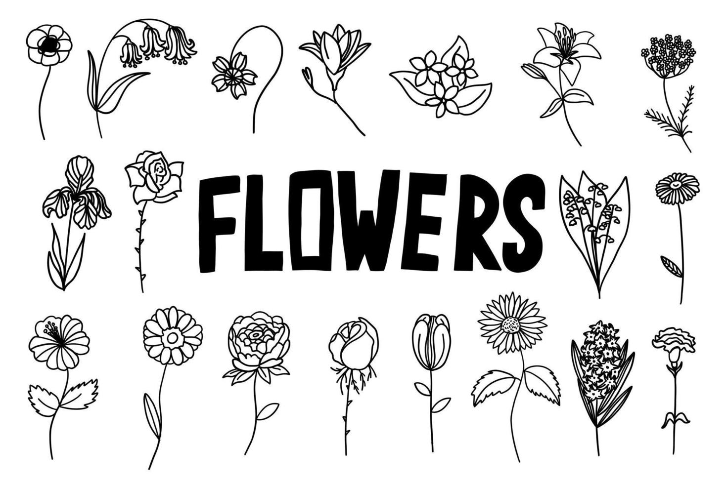 flores definidas em estilo plano de contorno doodle. ilustração vetorial em fundo branco. vetor