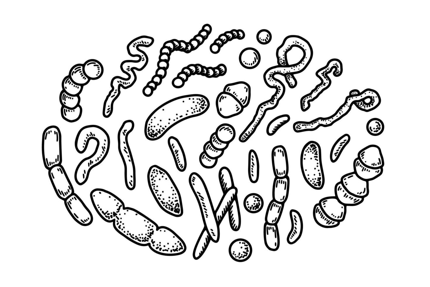 conjunto de bactérias e microorganismos desenhados à mão. ilustração vetorial no estilo de desenho. design científico de microbiologia realista vetor