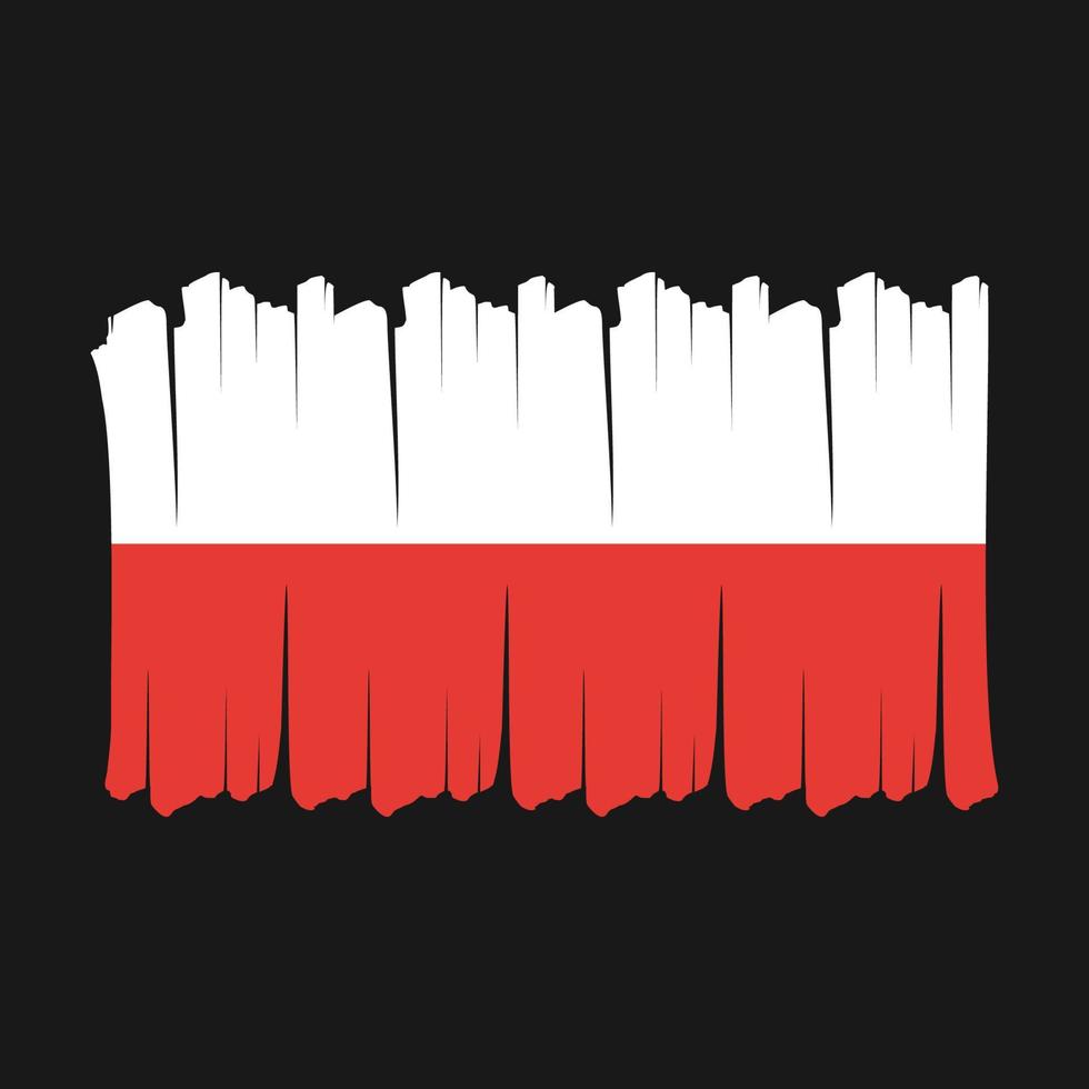 escova de bandeira da polônia vetor