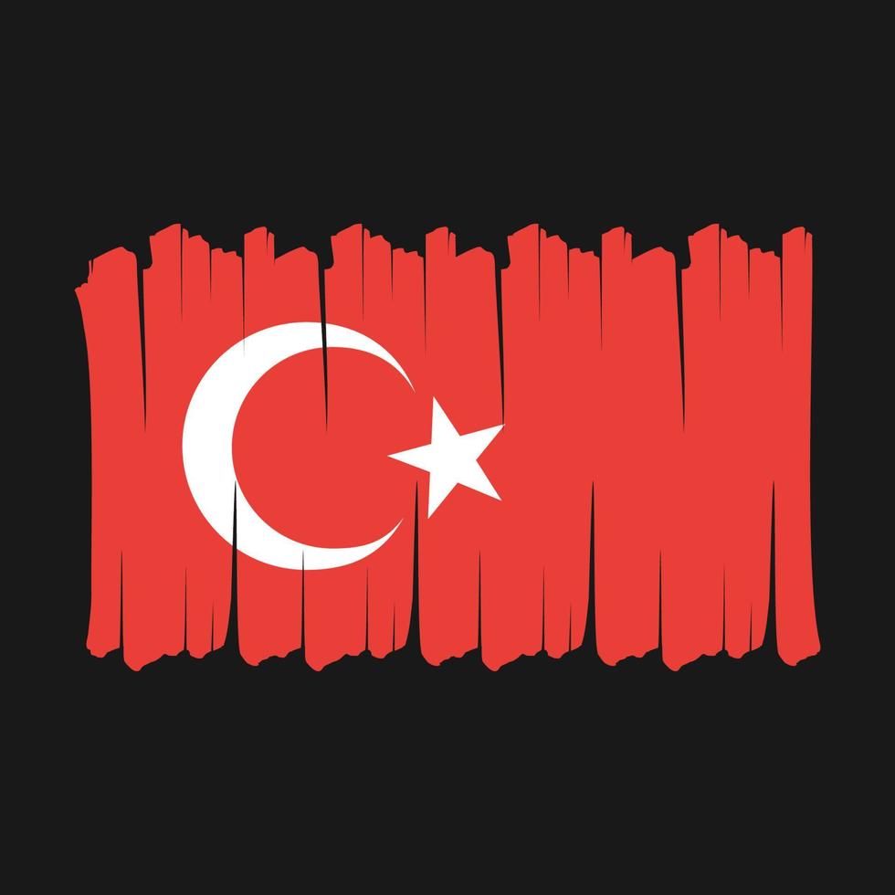 escova de bandeira turquia vetor