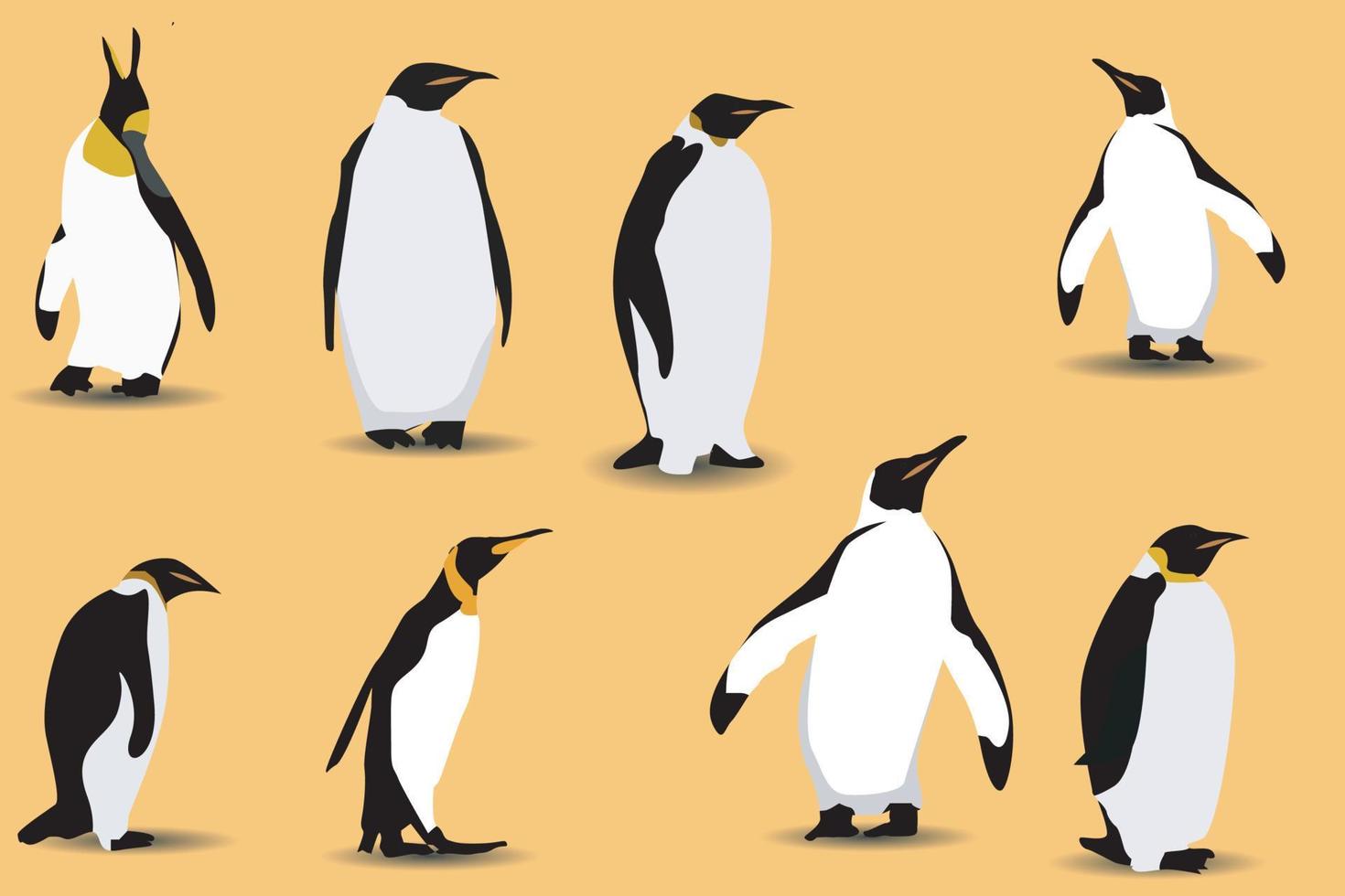 conjunto de ilustração plana vetorial de pinguins em poses diferentes. aves adultas e filhotes. ilustração vetorial, isolada em um fundo branco. vetor