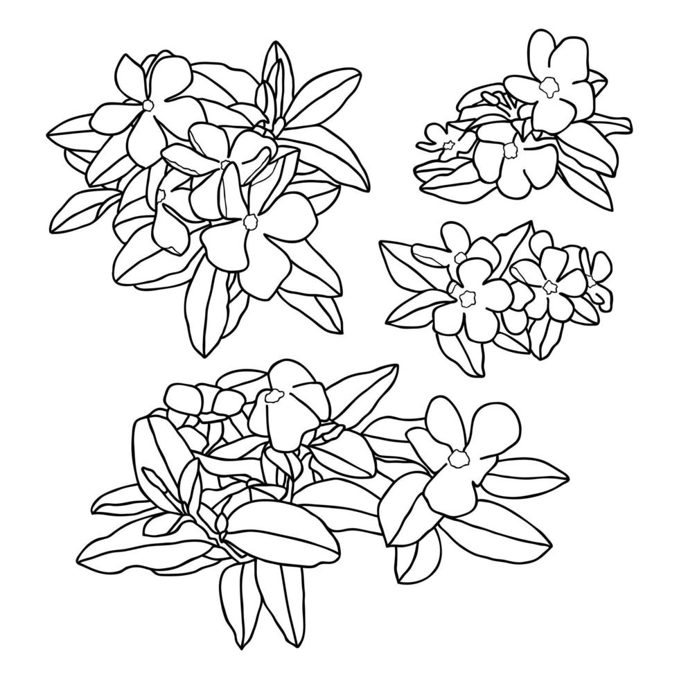 composição de flores. ilustração vetorial desenhada à mão em estilo de desenho. vetor