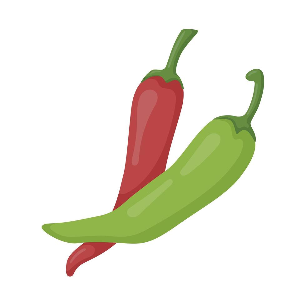 ilustração em vetor de um par de pimenta malagueta, comida mexicana isolada no branco.