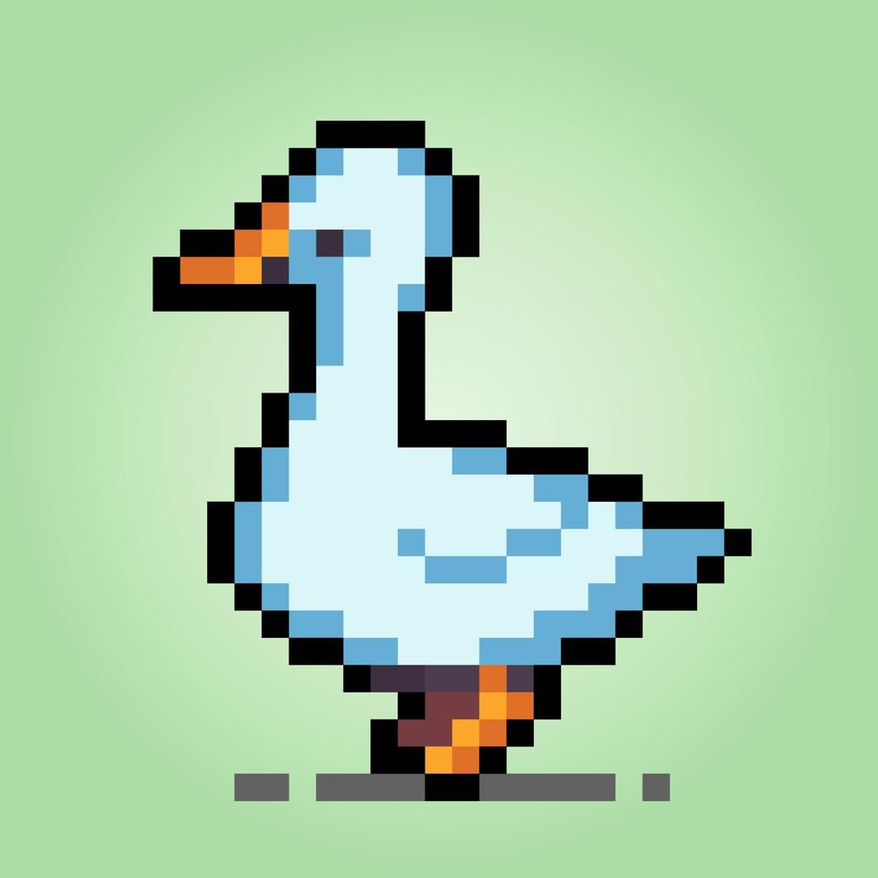 Pixels de 8 bits de gaivota. animal para jogos de ativos e padrões de ponto cruz em ilustrações vetoriais. vetor
