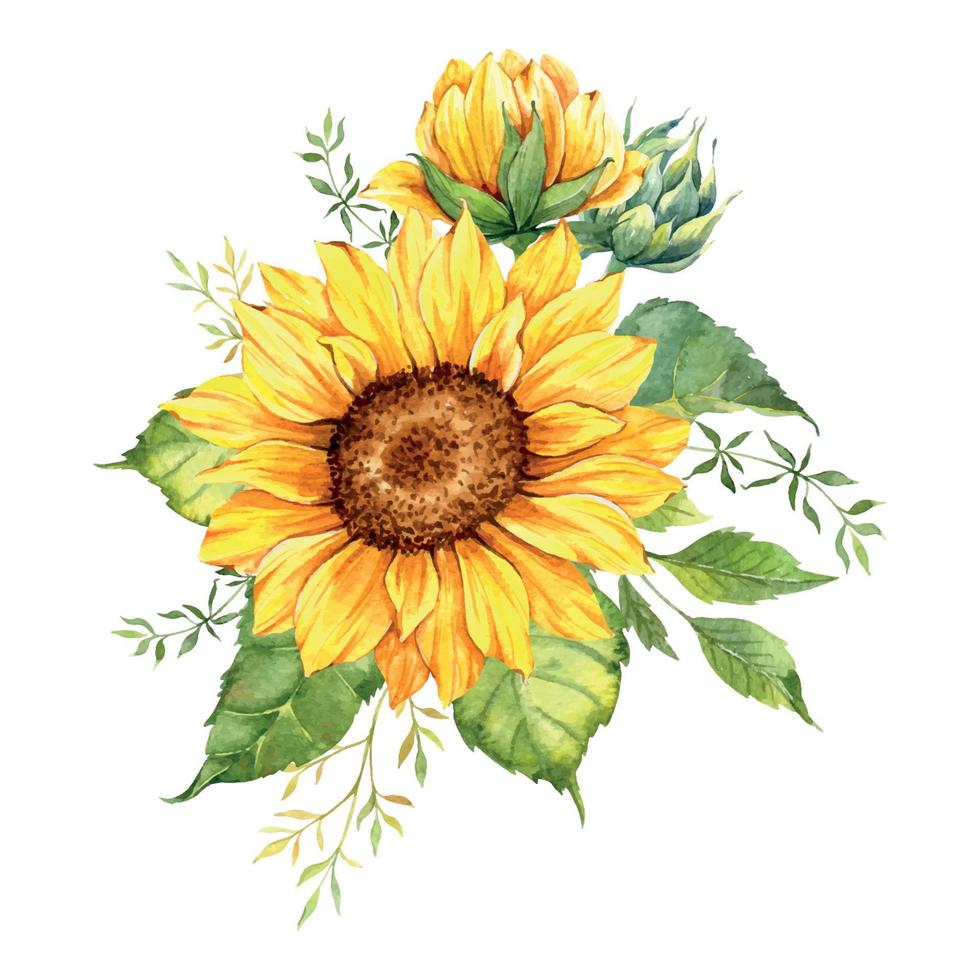 buquê de girassóis em aquarela, buquês de girassóis pintados à mão com vegetação, arranjo de flores de girassol. elementos de clipart de convite de casamento. aquarela floral. desenho botânico. fundo branco. vetor