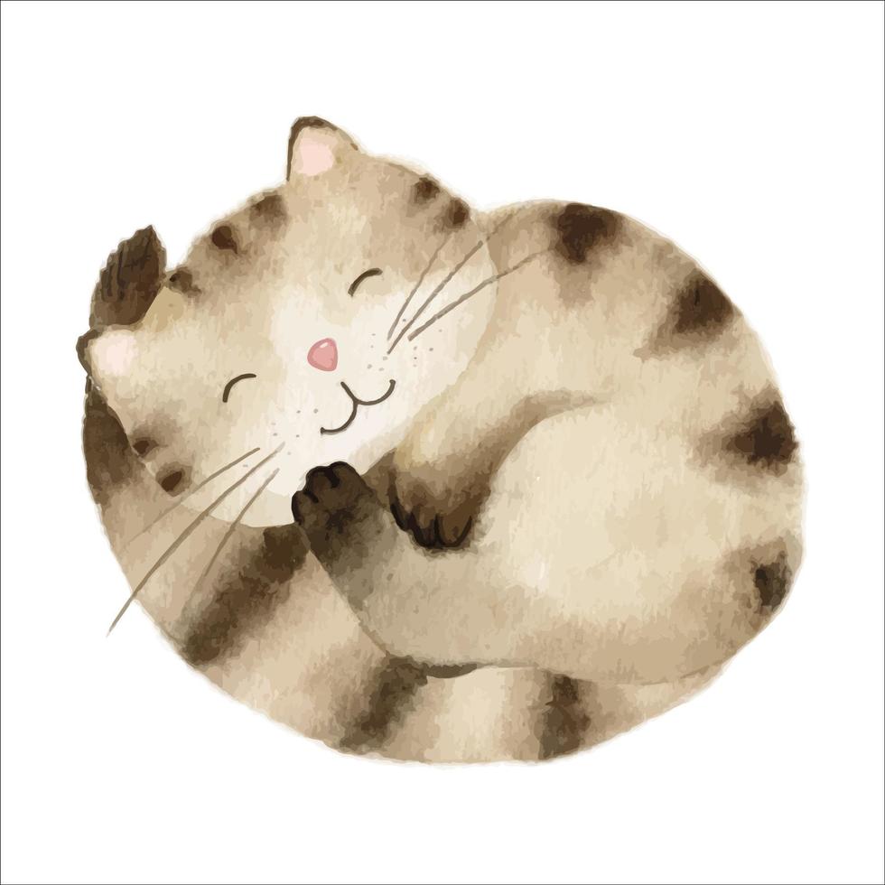 um gato malhado marrom dorme enrolado. linda ilustração infantil em aquarela. isolado no branco. adequado para estampas infantis, tecidos, decoração de quartos infantis vetor