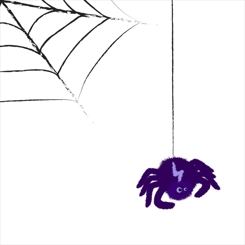 aranha de desenho animado e teia de aranha vetor