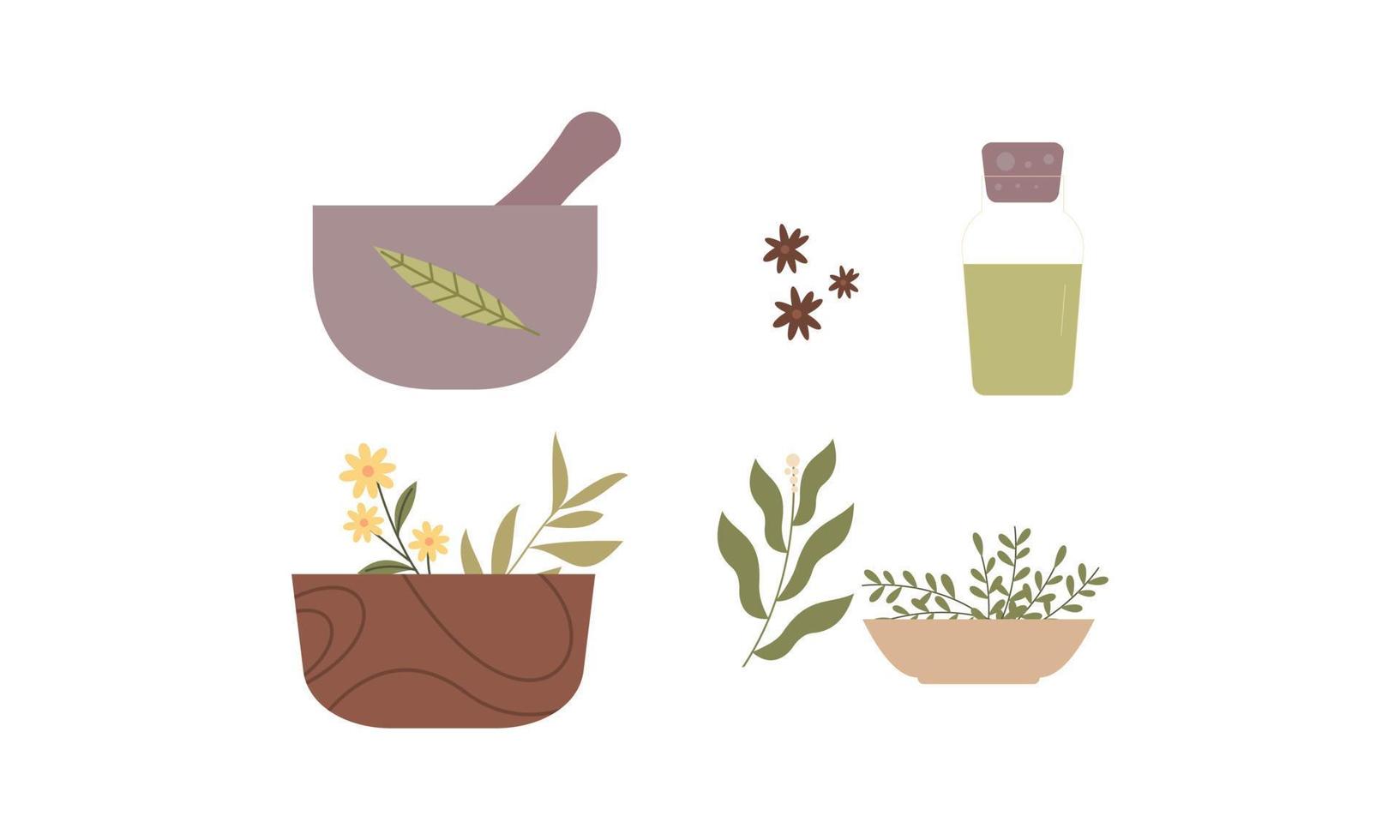homeopatia, aromaterapia, conjunto de medicina tradicional natural. ervas, chá de ervas, essências naturopáticas homeopáticas, plantas medicinais. vetor